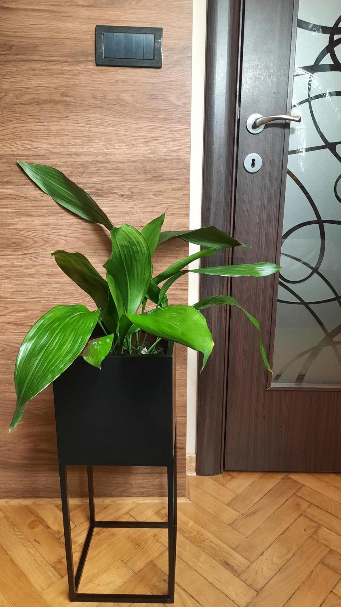 Stan Na Dan Apartman D Lux Jacuzzi كراغوييفاك المظهر الخارجي الصورة